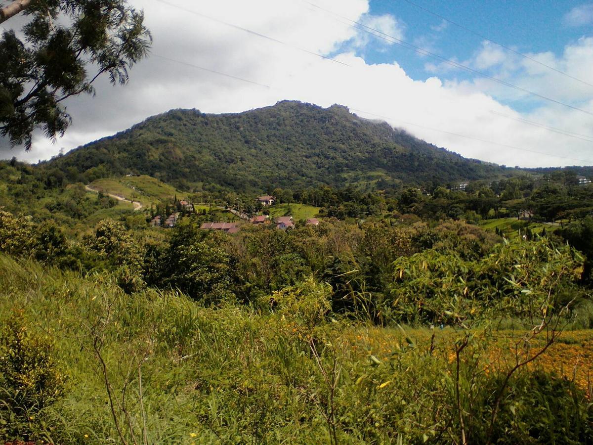 Hotel Red Z Cool Mountain Khao Kho Exterior foto