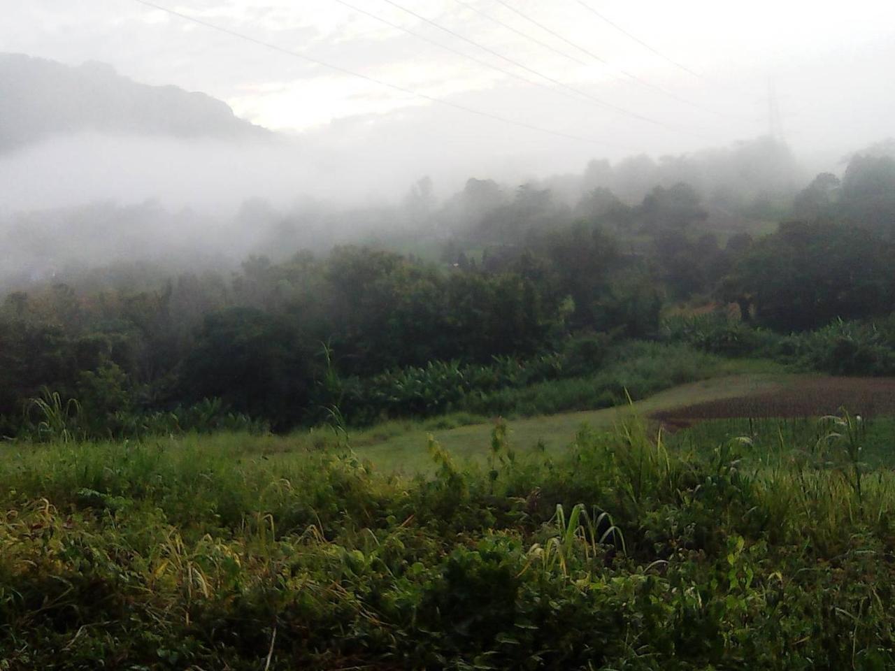 Hotel Red Z Cool Mountain Khao Kho Exterior foto